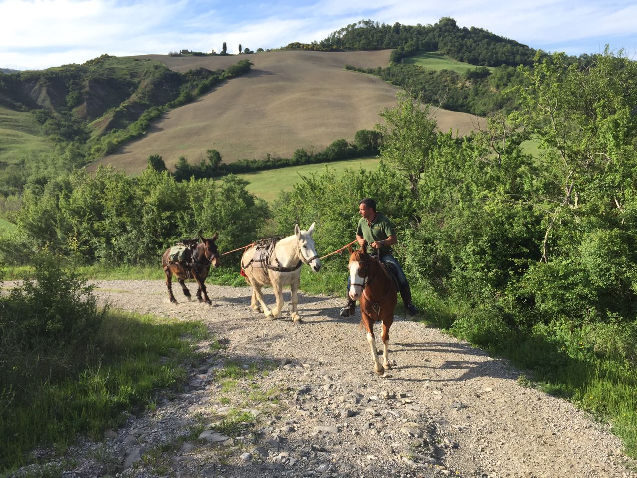 Viaggi a Cavallo